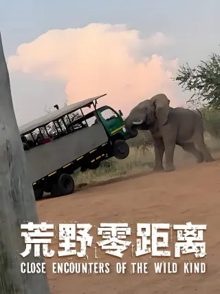 荒野零距离