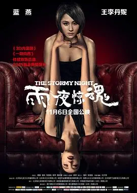 雨夜惊魂(2015)