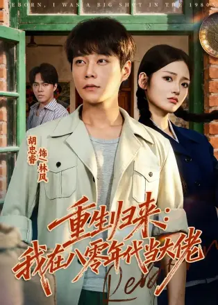 重生归来:我在八零年代当大佬