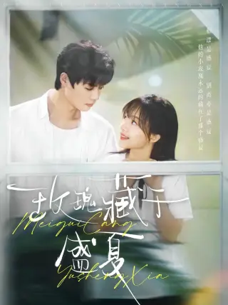 玫瑰藏于盛夏