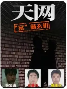 天网案藏玄机