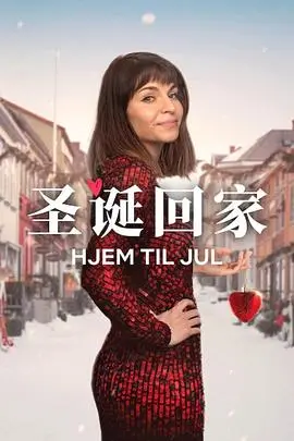 圣诞寻伴第二季