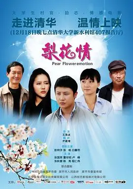梨花情(2012)