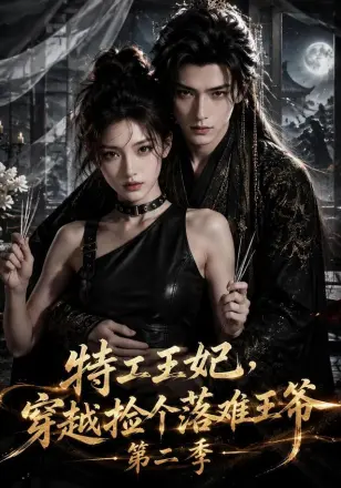 特工王妃，穿越捡个落难王爷