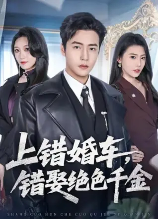 上错婚车，错娶绝色千金