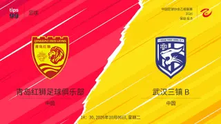 2026赛季中乙第25轮全场回放:青岛红狮VS武汉三镇B队