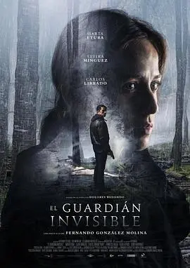 看不见的守护者(2017)