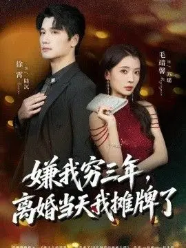 嫌我穷三年,离婚当天我摊牌了