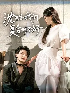 沈先生我们复合好不好
