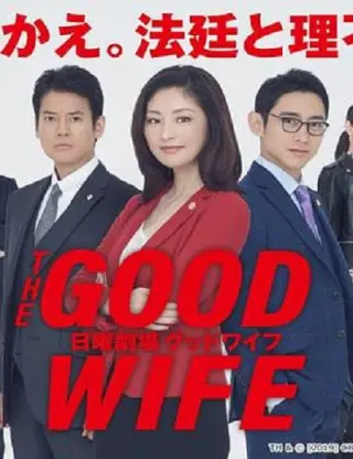 傲骨贤妻 日剧