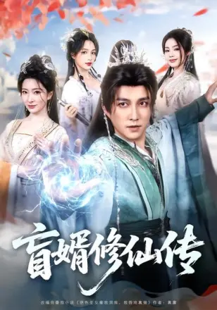 直婿修仙传