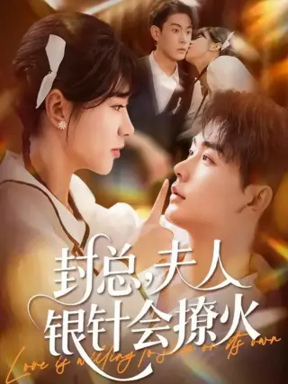 封总，夫人银针会撩火