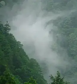日本印象派水光和鸣