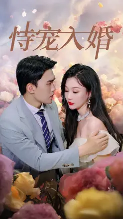 恃宠入婚