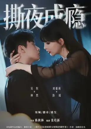 撕夜成瘾第二季