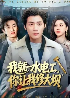 我就一水电工,你让我修大坝