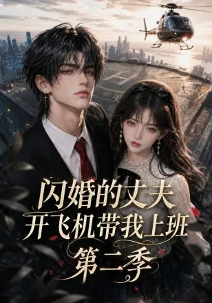 闪婚的丈夫开飞机带我上班