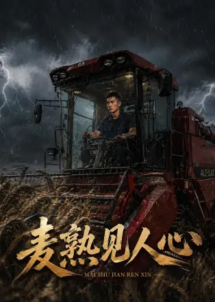 麦熟见人心 AI