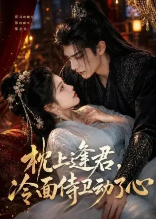 枕上逢君，冷面侍卫动了心