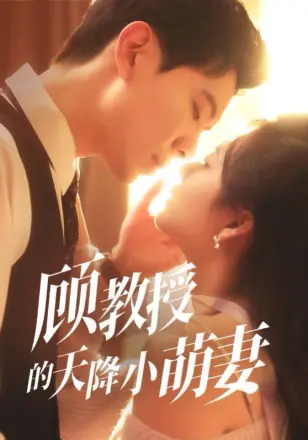 顾教授的天降小萌妻