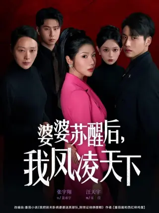 婆婆苏醒后,我凤凌天下