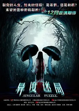 异度迷局(2012)
