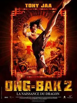 拳霸2(2008)