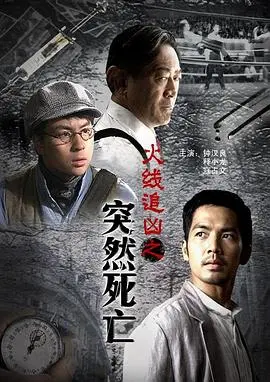 火线追凶之黑枪疑云