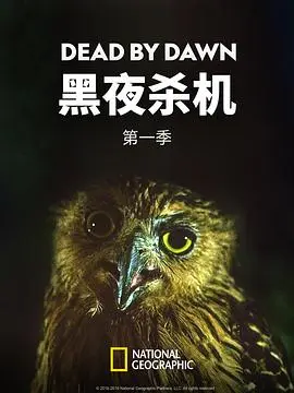 黑夜杀机第一季
