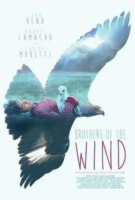 追鹰日记(2015)