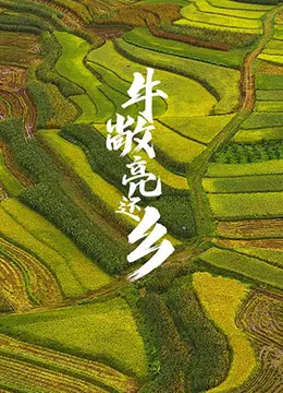 牛敞亮还乡