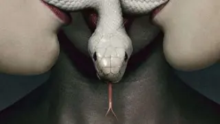 dm3