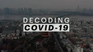 新冠病毒解码