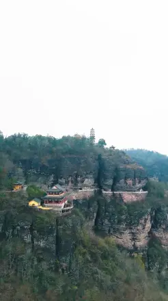 功夫萌宝神算爹