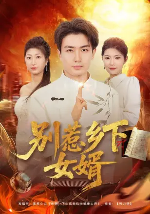 别惹乡下女婿