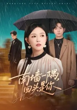 南墙一隅,回头是你