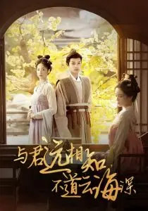 与君远相知不道云海深