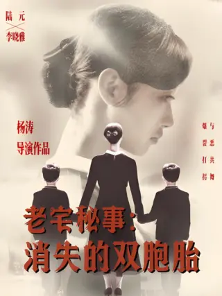 老宅秘事消失的双胞胎