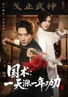 国术，一天涨一年功力