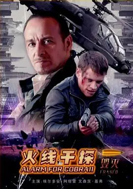 火线干探之毁灭(2016)