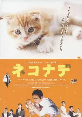 小猫奇缘