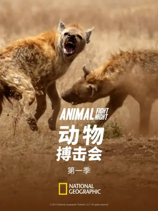 动物搏击会