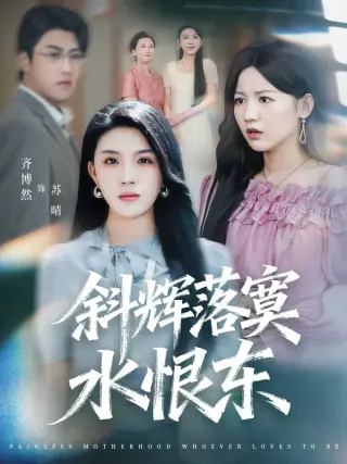 斜辉落寞水恨东