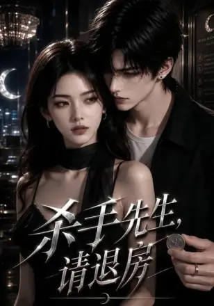 杀手先生，请退房