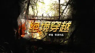 绝境穿越(2017·电影)