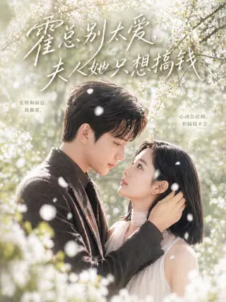 霍总别太爱,夫人她只想搞钱