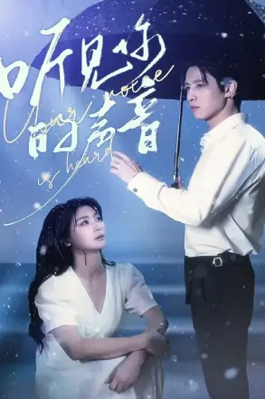 听见你的声音
