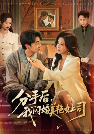 分手后，我闪婚美艳女上司