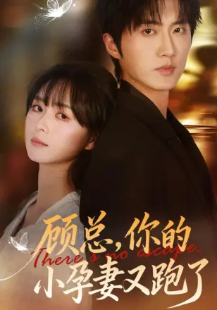 顾总，你的小孕妻又跑了