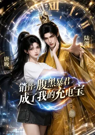 销骨：腹黑暴君成了我的充电宝第三季